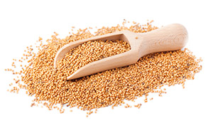 Mustard seeds with wooden scoop